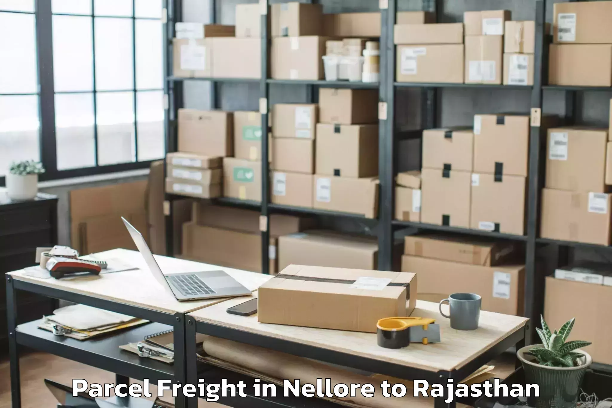 Book Nellore to Sangam University Bhilwara Parcel Freight Online